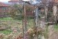 The garden