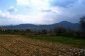 The yard
