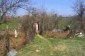 A garden