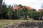 The garden