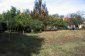 The garden