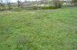 The garden