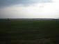 The land