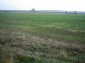 A plot of land