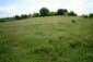 Lands for sale near Harmanli