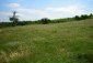 The land