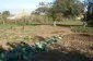 the land
