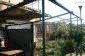 The garden