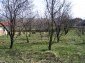 Part of the garden
