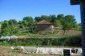 The garden