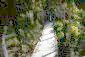 Path in the garden