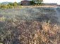 The land