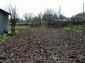 Part of the garden