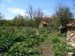 Part of the garden