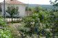 The property