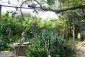 The garden