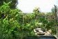 The garden