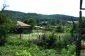 The garden