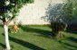 The beautiful garden