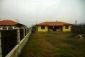 The house and the land