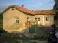 The house