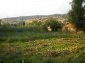 The garden