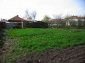 The garden