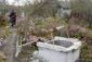 A well