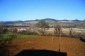 The garden and view
