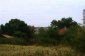 The garden