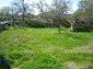The garden 1