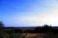 The land
