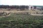 The garden