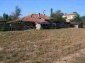 The garden