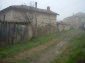 The estate