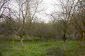 Lands for sale near Haskovo