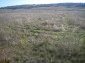 The land