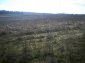 Lands for sale near Topolovgrad