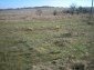 Lands for sale near Topolovgrad
