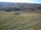 The land