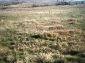 Lands for sale near Topolovgrad