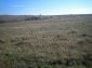 The land
