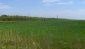 Lands for sale near Varna