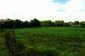 Lands for sale near Varna