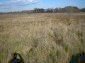 A plot of land