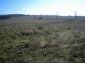 The land