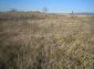 Lands for sale near Svilengrad