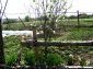 The garden