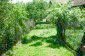 The garden