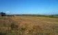 The land